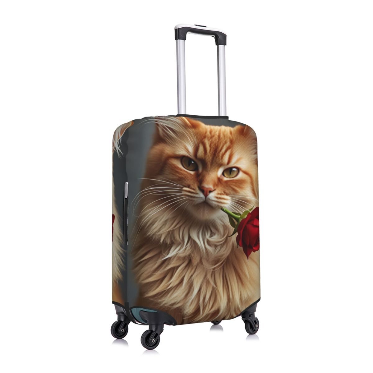 Funda Protectora para Maleta c - Travel Accessories Long Flight reseña y precio